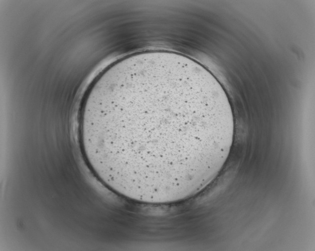 X0000114220955200911061504