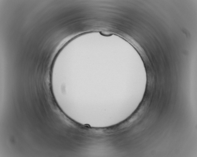 X0000114220956200911061504