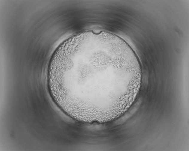 X0000114220957200911061504