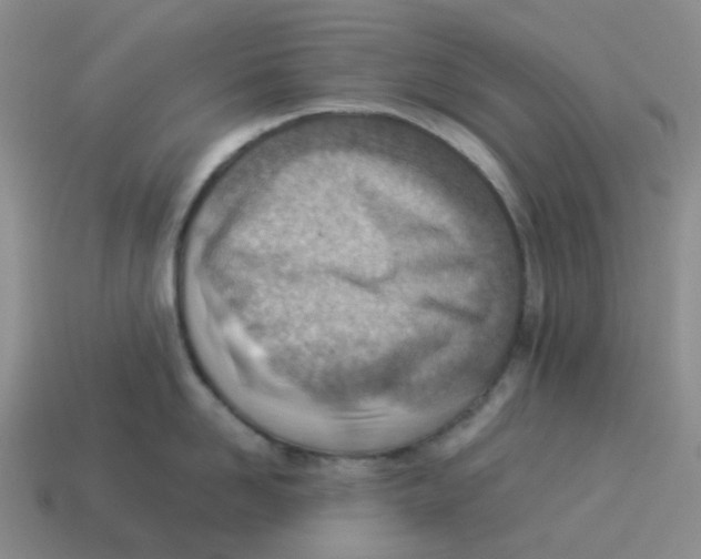 X0000114220958200911061504