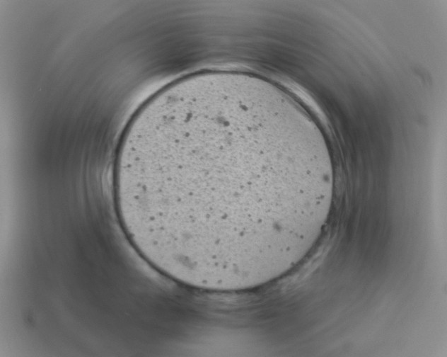 X0000114220959200911061504