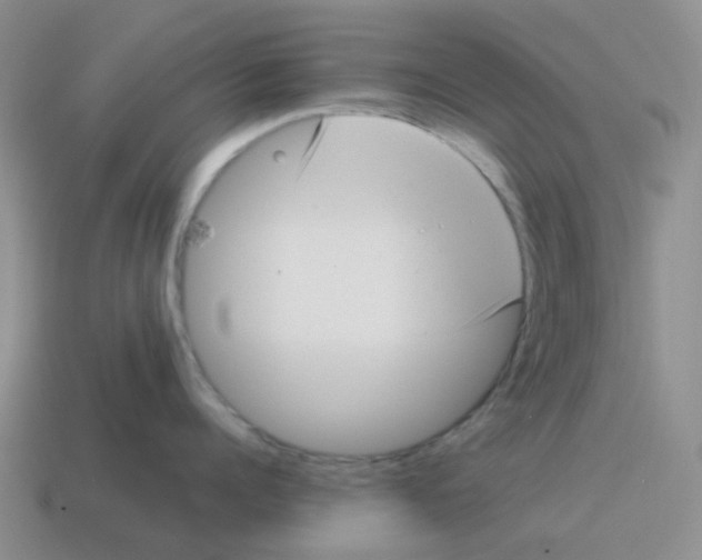 X0000114220960200911061504