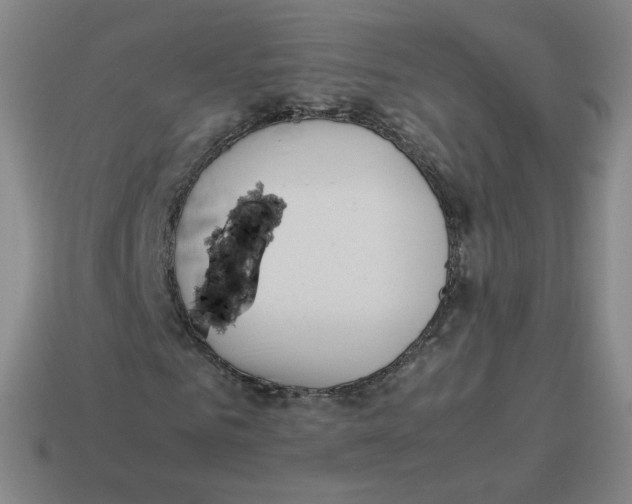 X0000114220961200911061503