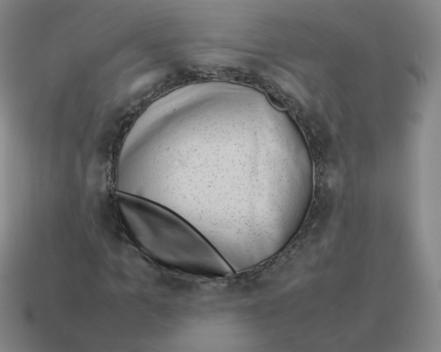 X0000114220965200911061503