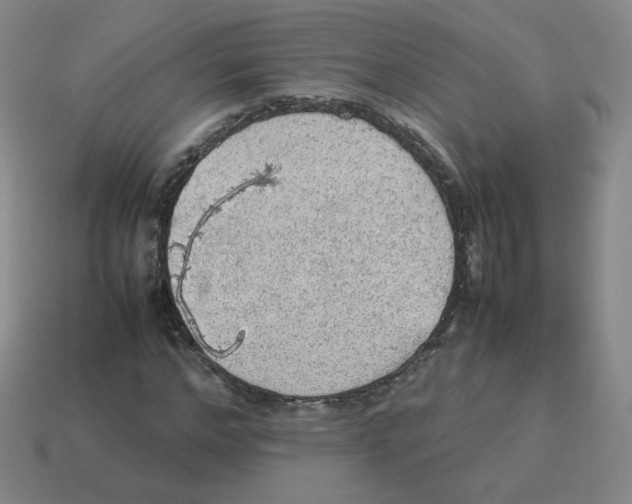 X0000114220968200911061503