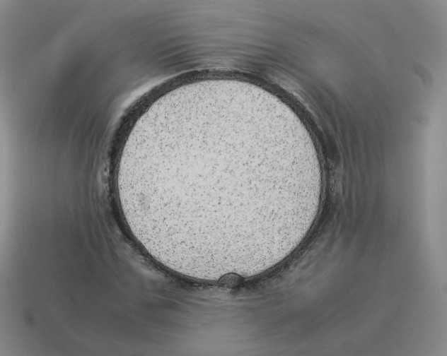 X0000114220971200911061503