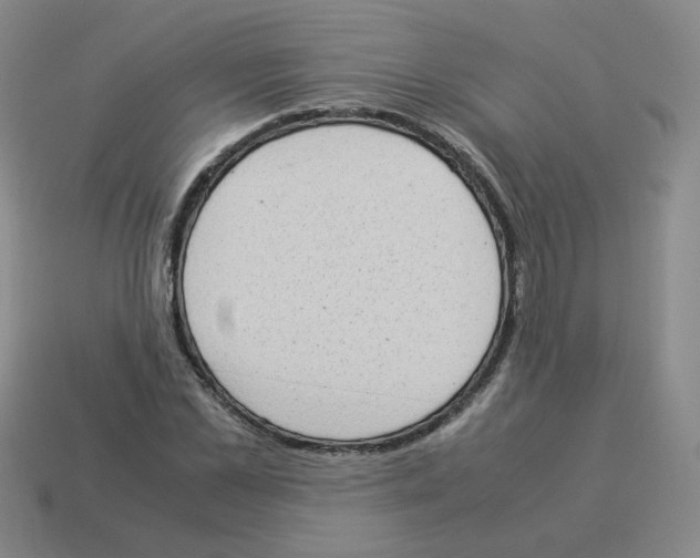 X0000114220973200911061503