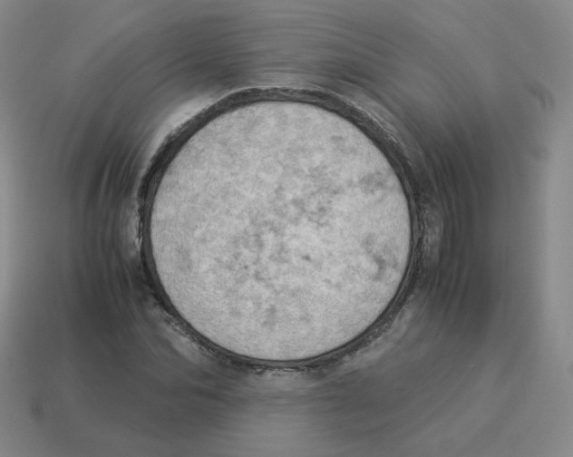 X0000114220974200911061503