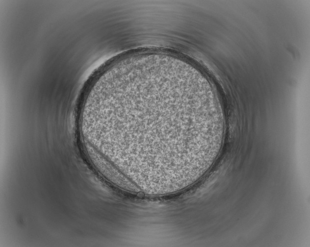 X0000114220975200911061503