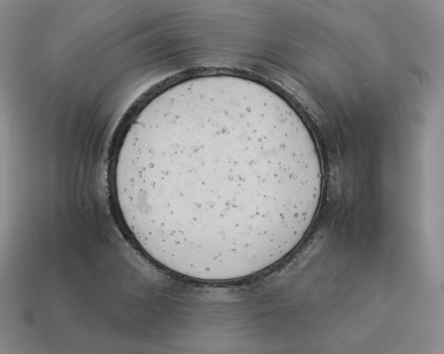 X0000114220976200911061503