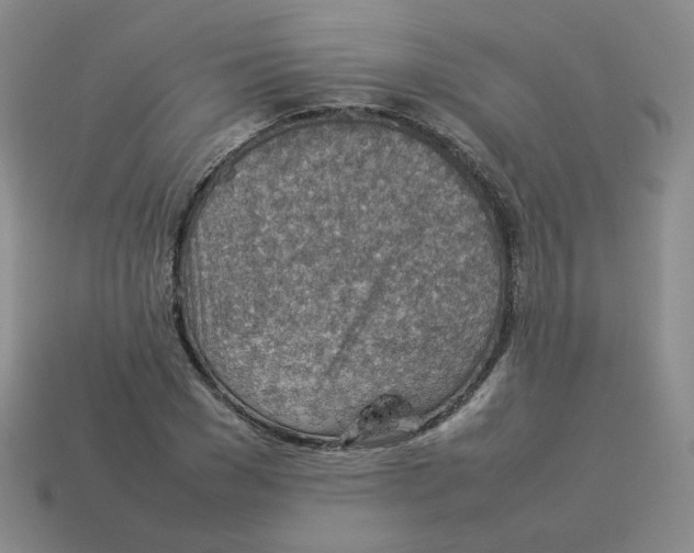 X0000114220977200911061503