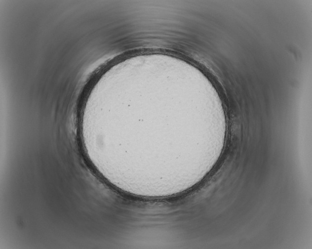 X0000114220979200911061503