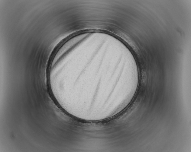 X0000114220980200911061503