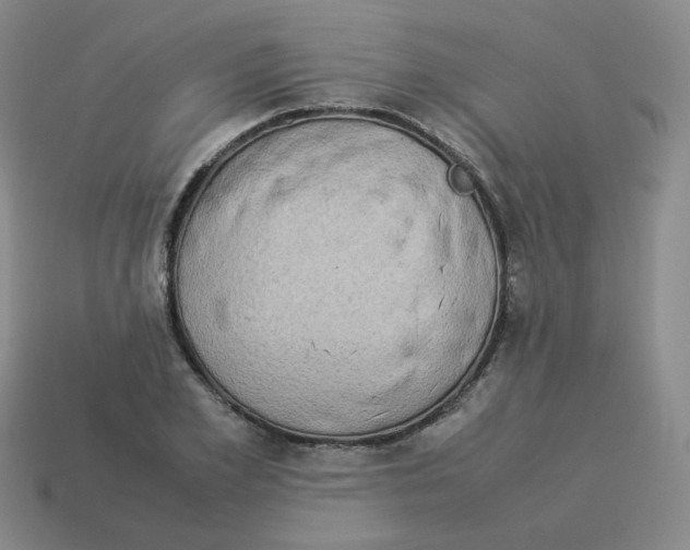 X0000114220981200911061503