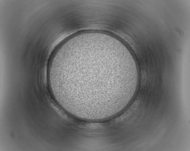 X0000114220982200911061503