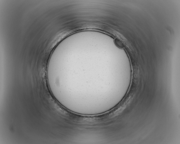 X0000114220985200911061503