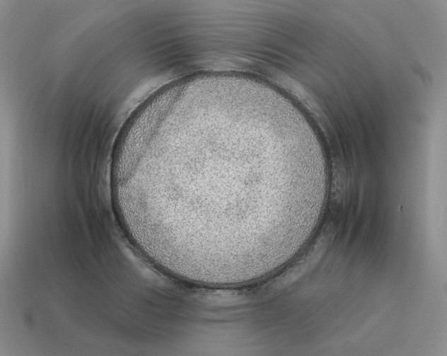 X0000114220986200911061503