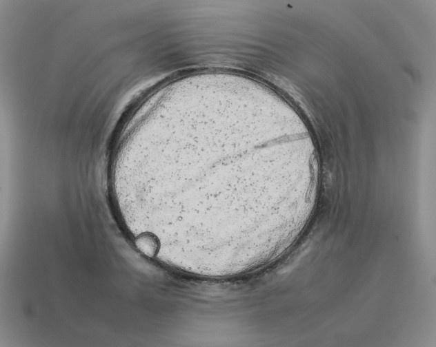 X0000114220987200911061503