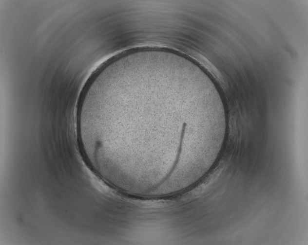 X0000114220988200911061503