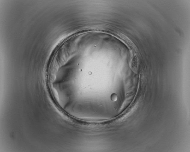 X0000114220989200911061503