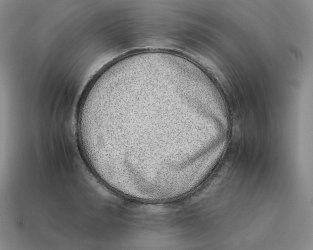 X0000114220990200911061503