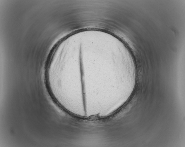 X0000114220991200911061503