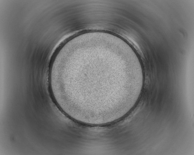 X0000114220992200911061503