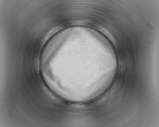 X0000114220994200911061503