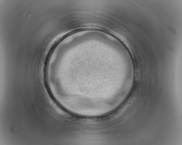 X0000114220995200911061503