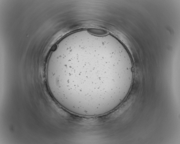 X0000114220997200911061503