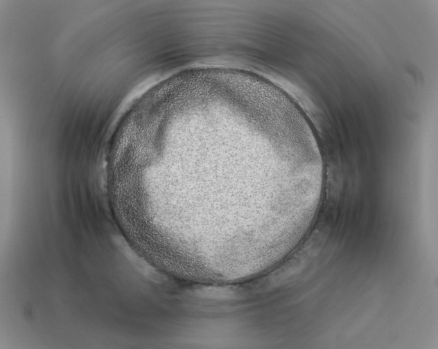 X0000114220998200911061503