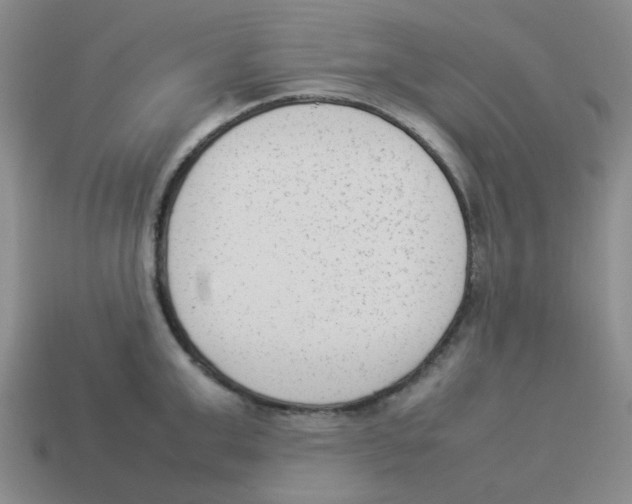 X0000114220999200911061503