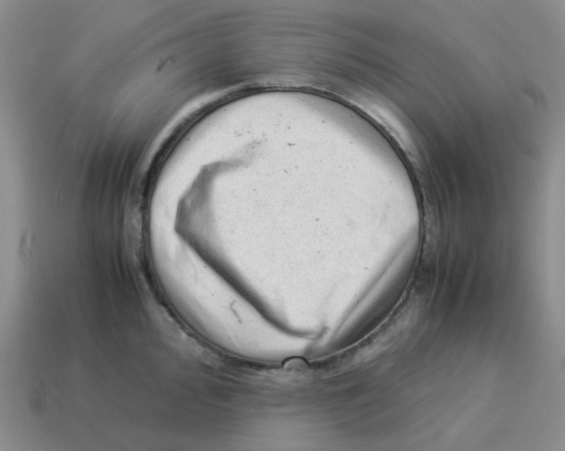 X0000114221000200911061503