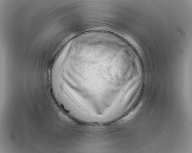 X0000114221001200911061503