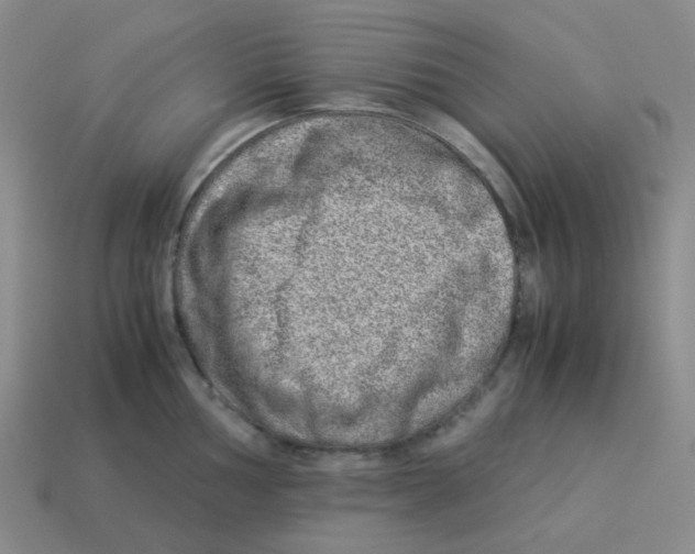 X0000114221002200911061503