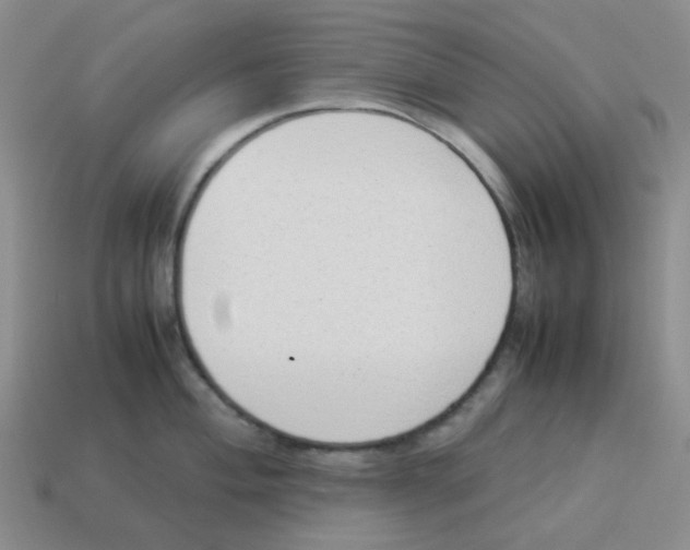 X0000114221004200911061503