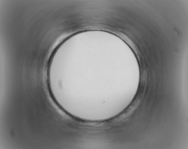 X0000114221005200911061503