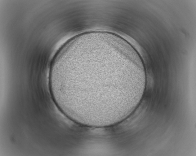 X0000114221006200911061503