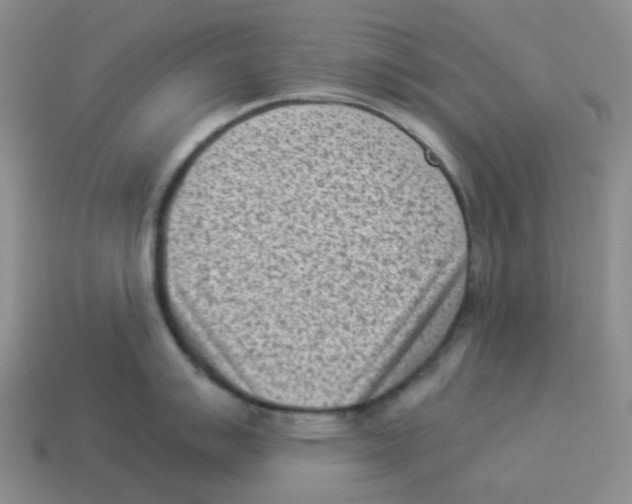 X0000114221007200911061503