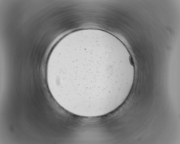 X0000114221008200911061503