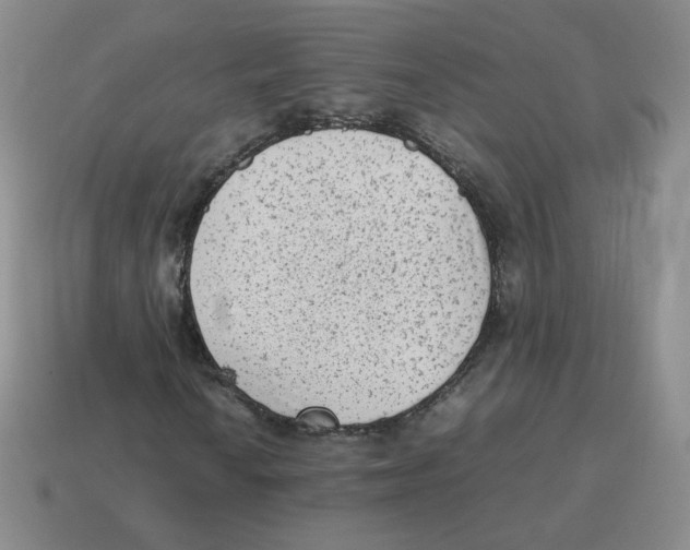 X0000114221010200911061502