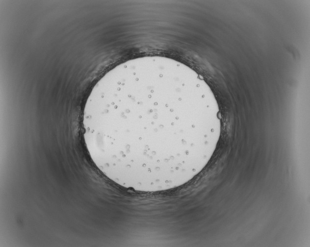 X0000114221012200911061502