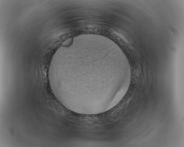 X0000114221013200911061502