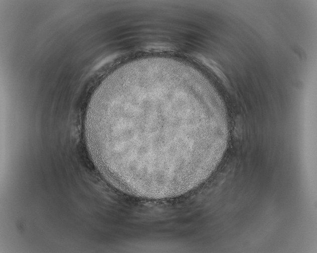 X0000114221015200911061502