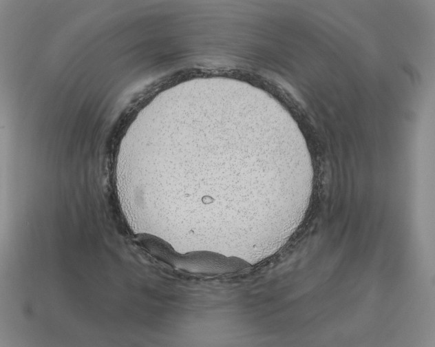 X0000114221016200911061502