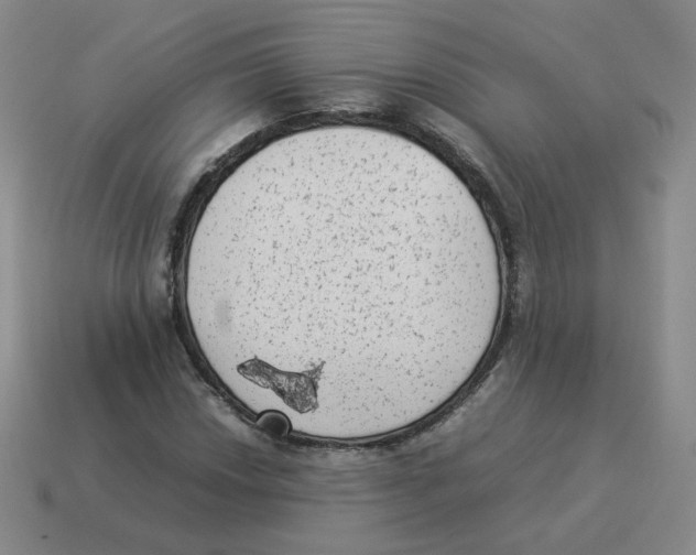 X0000114221018200911061502