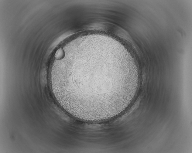 X0000114221019200911061502