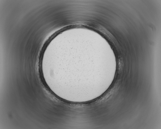 X0000114221020200911061502