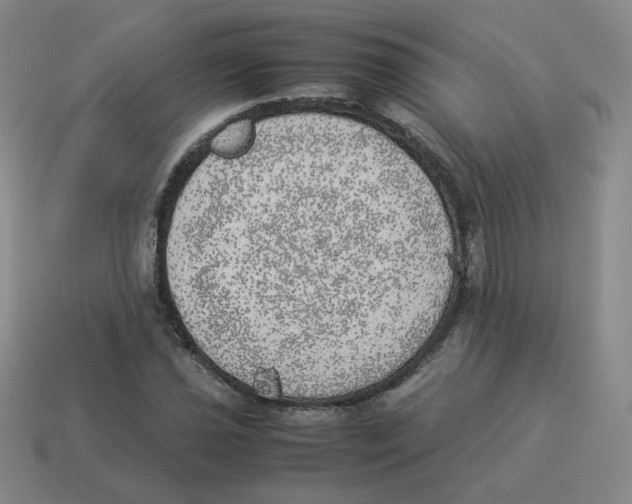 X0000114221021200911061502