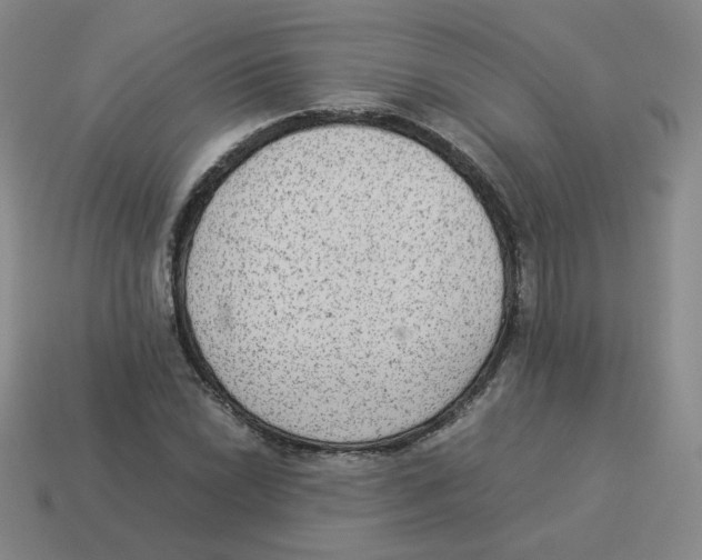 X0000114221022200911061502